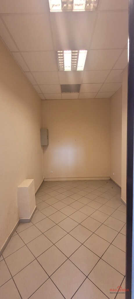 Lokal Wynajem Szczecin Śródmieście-Centrum 5