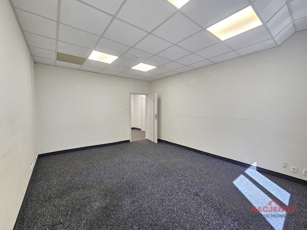 Lokal Wynajem Szczecin Centrum 4