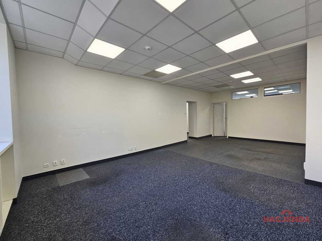Lokal Wynajem Szczecin Centrum 5