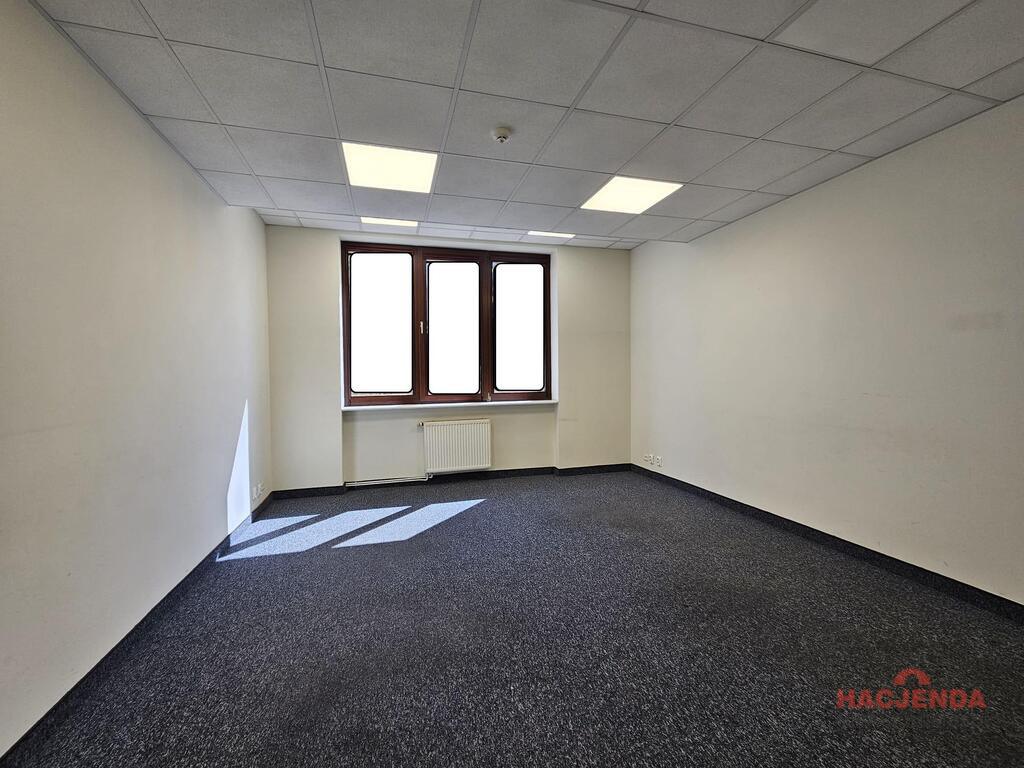 Lokal Wynajem Szczecin Centrum 6