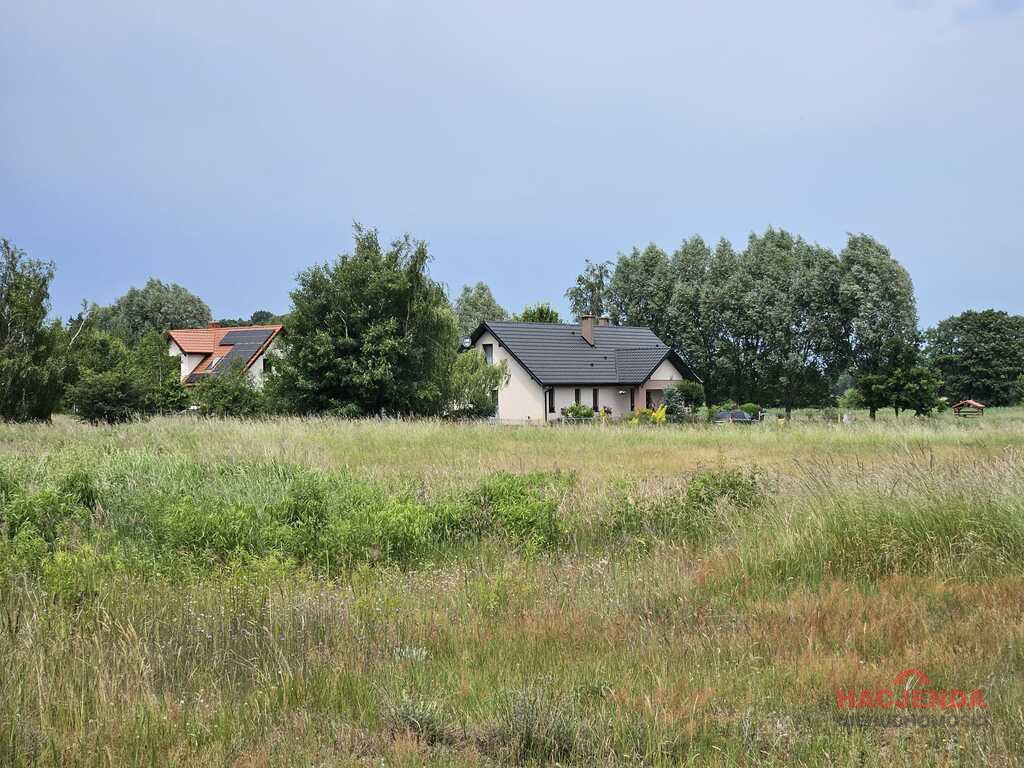 Działka Sprzedaż Łęgi 1