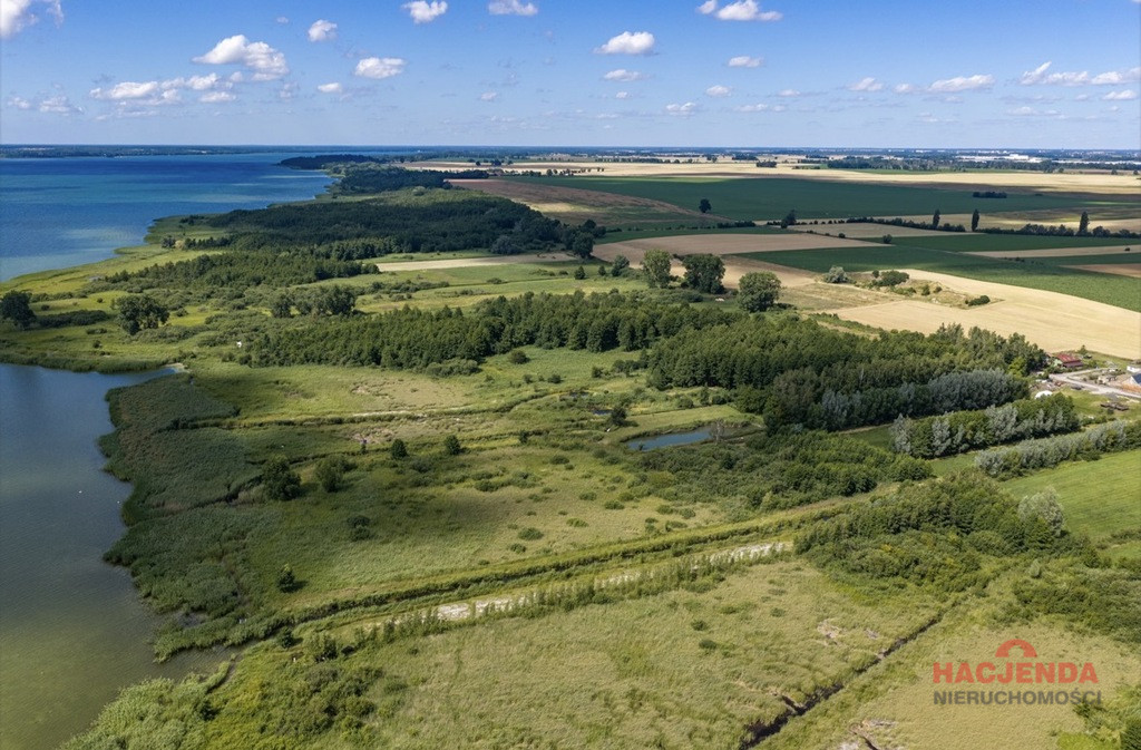 Działka Sprzedaż Wierzbno 5