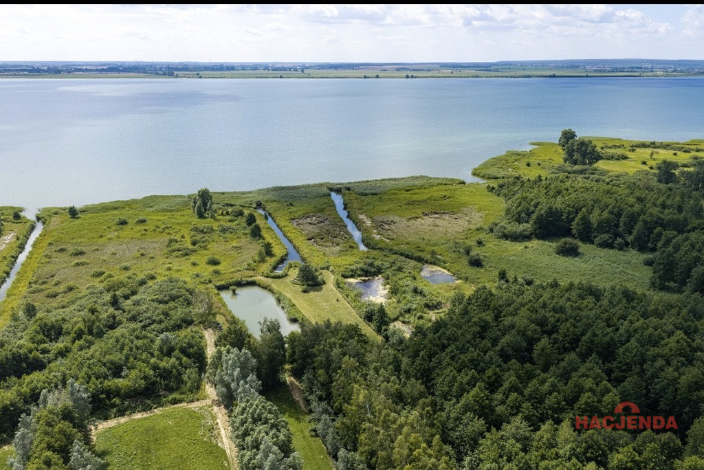 Działka Sprzedaż Wierzbno 7