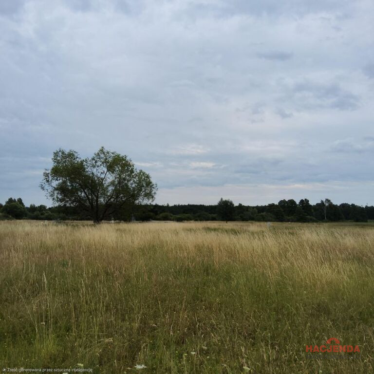 Działka Sprzedaż Buk 2