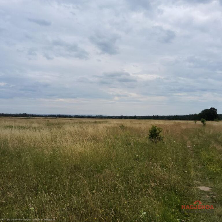 Działka Sprzedaż Buk 3