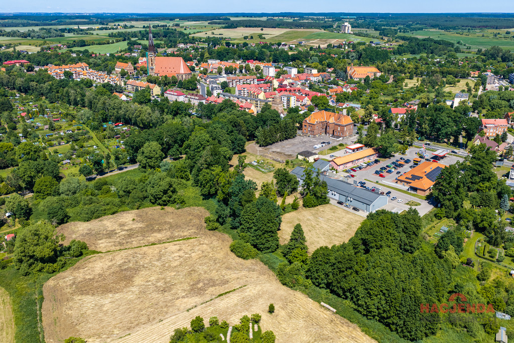 Działka Sprzedaż Chojna