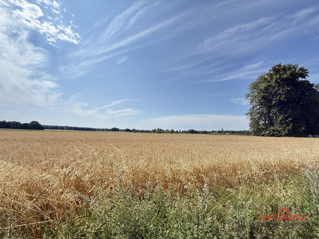 Działka Sprzedaż Oświno