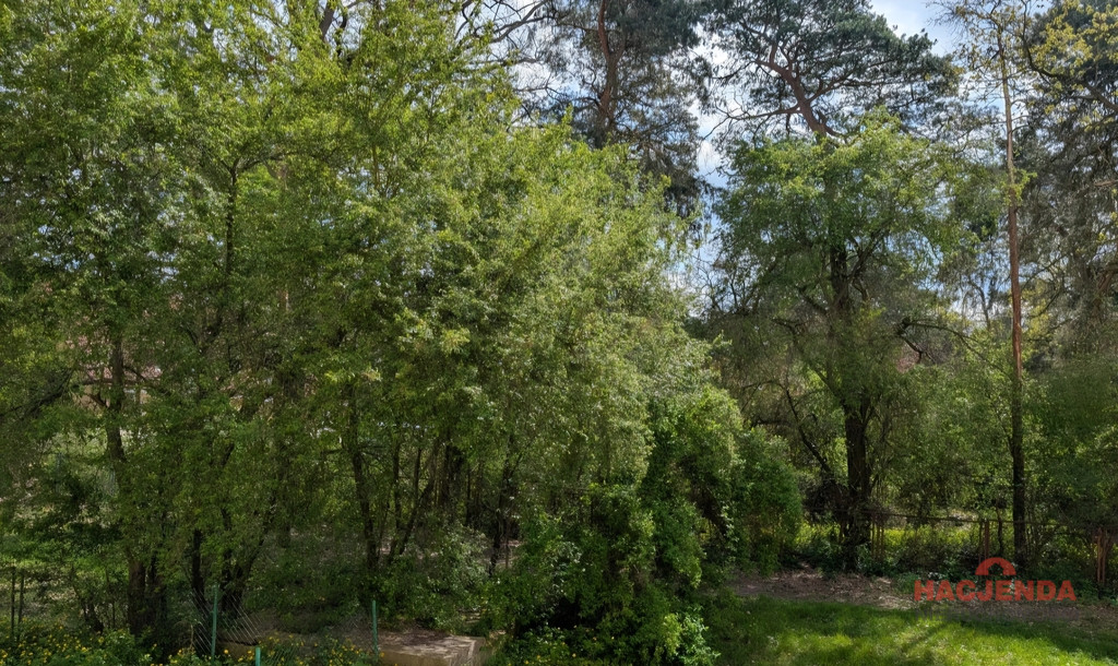 Mieszkanie Sprzedaż Szczecin Załom Produkcyjna