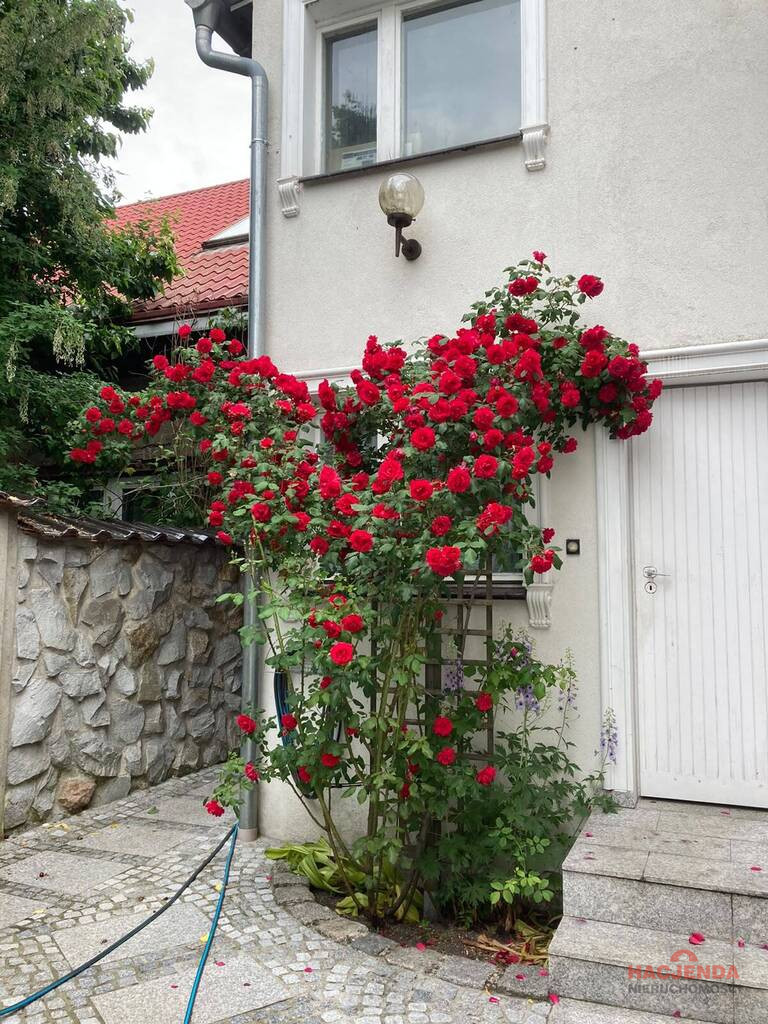 Dom Sprzedaż Wolin 34