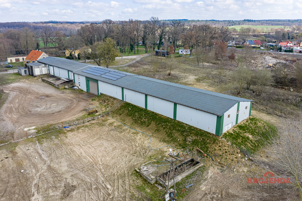 Magazyn Sprzedaż Piaseczno 10