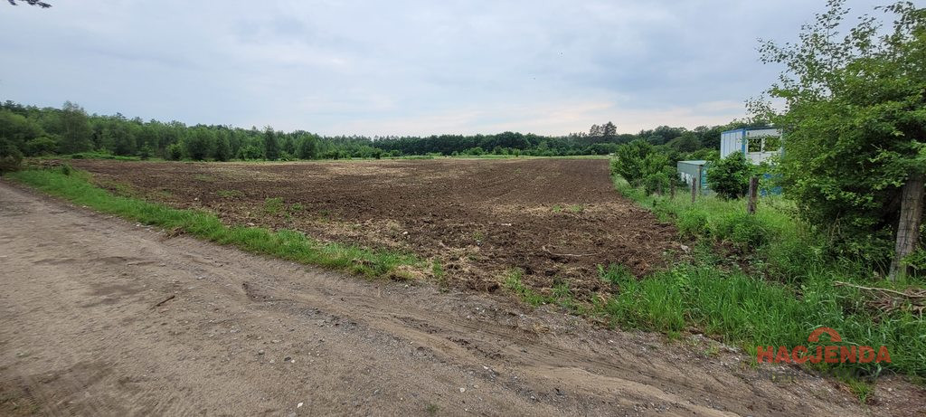 Działka Sprzedaż Binowo