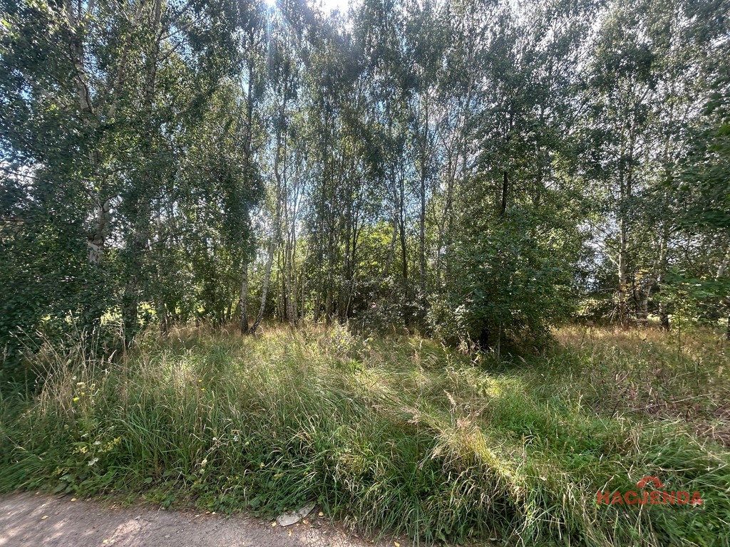 Działka Sprzedaż Dołuje 5