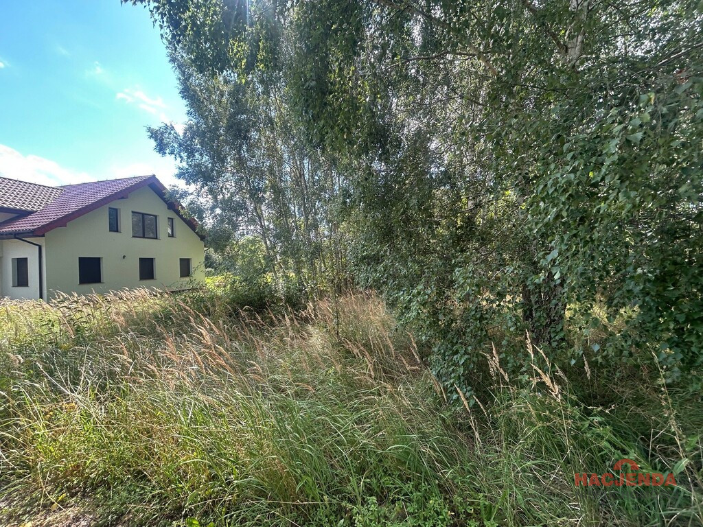 Działka Sprzedaż Dołuje 4