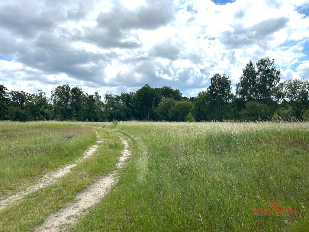 Działka Sprzedaż Nowe Warpno 5