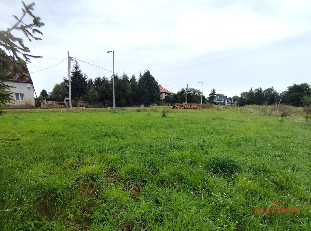 Działka Sprzedaż Stepniczka