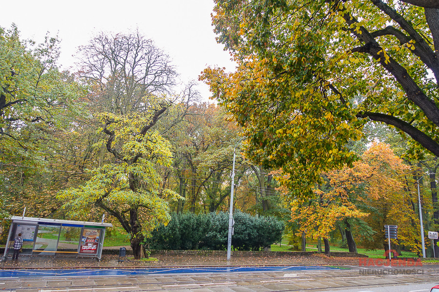 Mieszkanie Sprzedaż Szczecin Śródmieście Jacka Malczewskiego 43