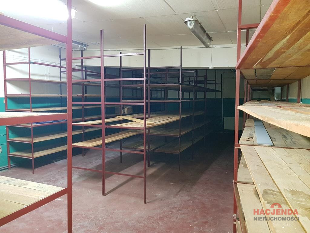 Lokal Wynajem Szczecin Płonia 19