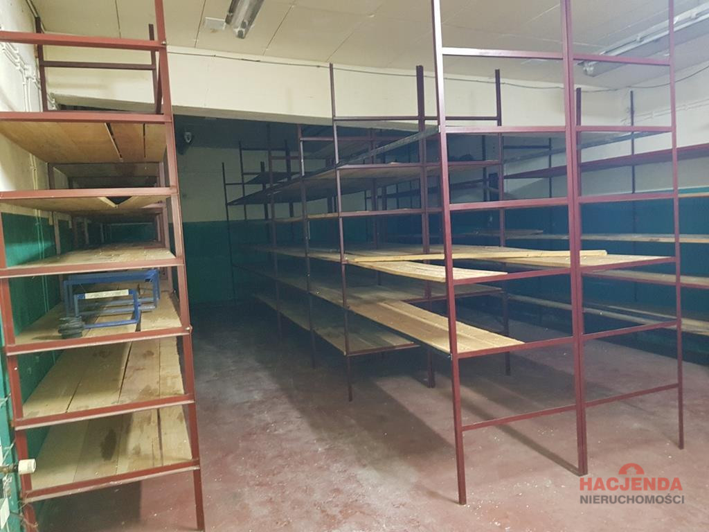 Lokal Wynajem Szczecin Płonia 20