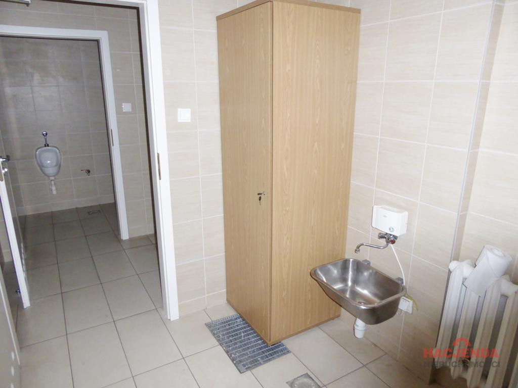 Lokal Wynajem Szczecin Centrum 16