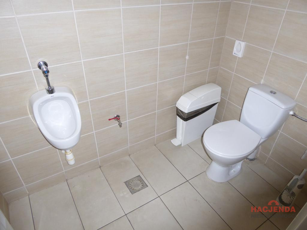 Lokal Wynajem Szczecin Centrum 18