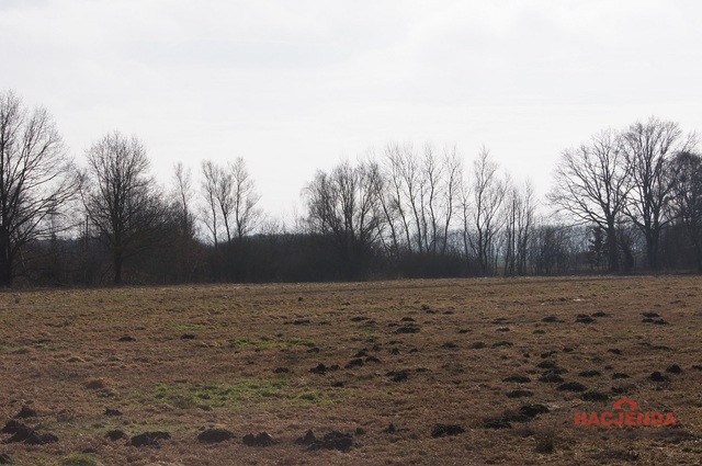Działka Sprzedaż Jarzębowo 2