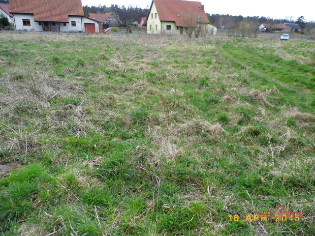 Działka Sprzedaż Brzózki 3