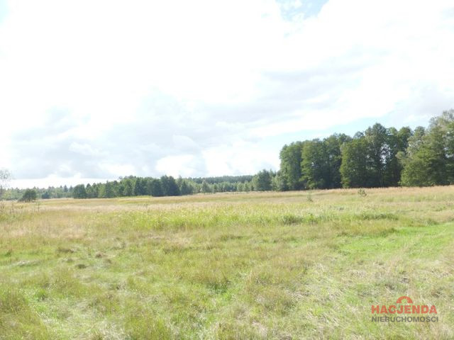Działka Sprzedaż Grzepnica 1