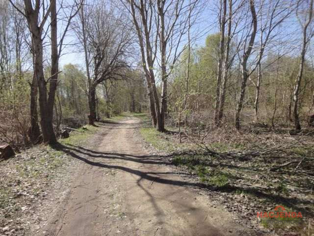 Działka Sprzedaż Trzebież 10