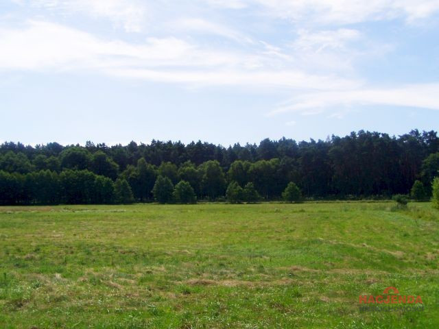 Działka Sprzedaż Nowe Warpno 14