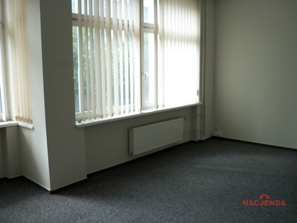 Lokal Wynajem Szczecin Centrum 11