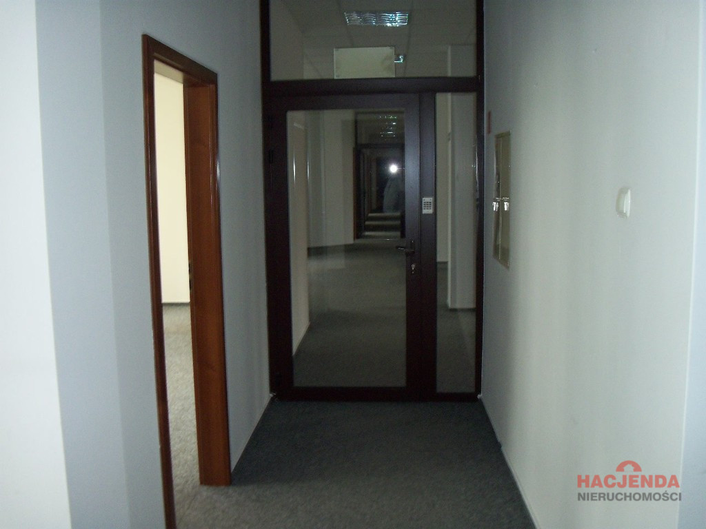 Lokal Wynajem Szczecin Centrum 17