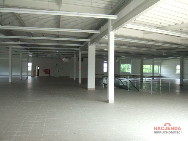 Obiekt Wynajem Szczecin Nowe Miasto 6