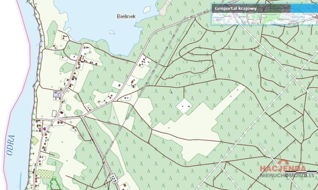Działka Sprzedaż Bielinek 2