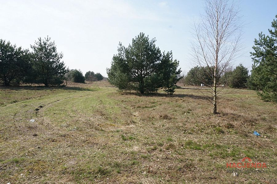 Działka Sprzedaż Rurzyca 6