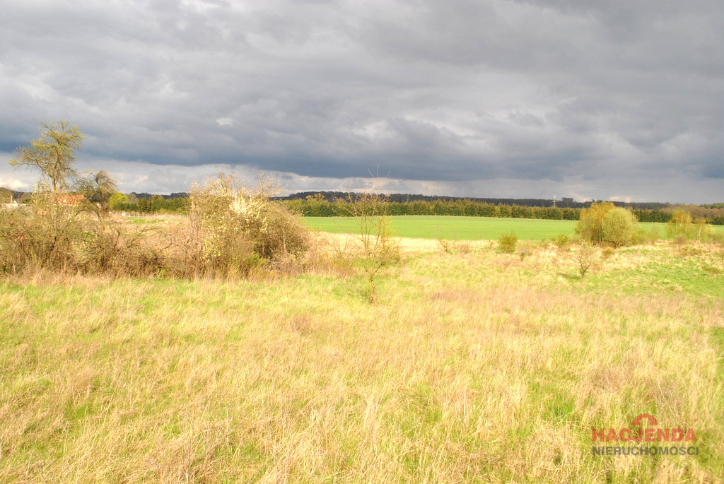 Działka Sprzedaż Binowo