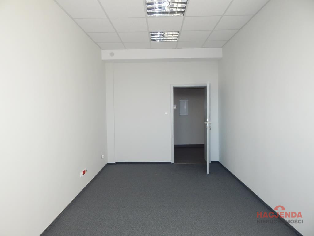 Lokal Wynajem Szczecin Śródmieście 2