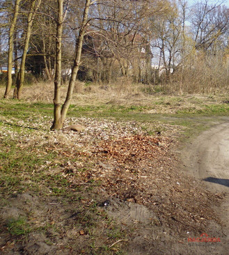 Działka Sprzedaż Szczecin Zdroje Walecznych 2