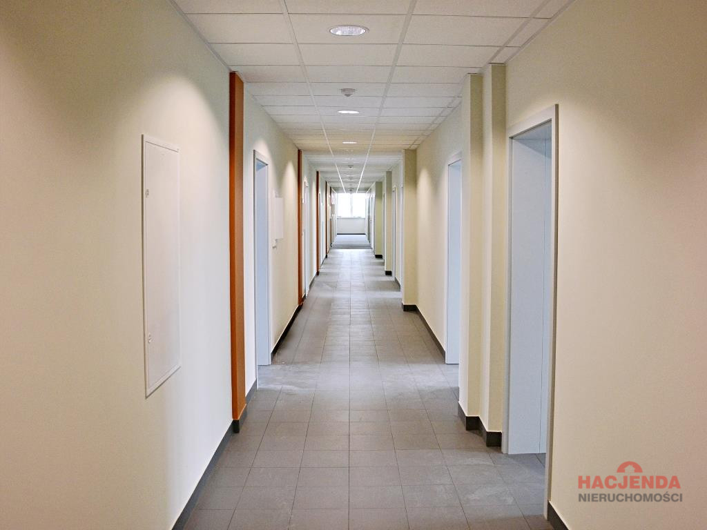 Lokal Wynajem Szczecin Śródmieście 12