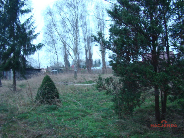 Działka Sprzedaż Pniewo 6