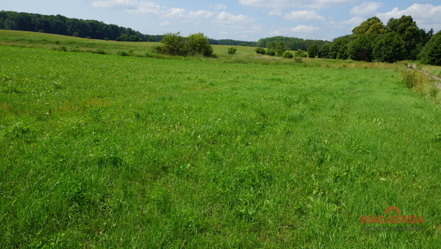 Działka Sprzedaż Bobolice 5