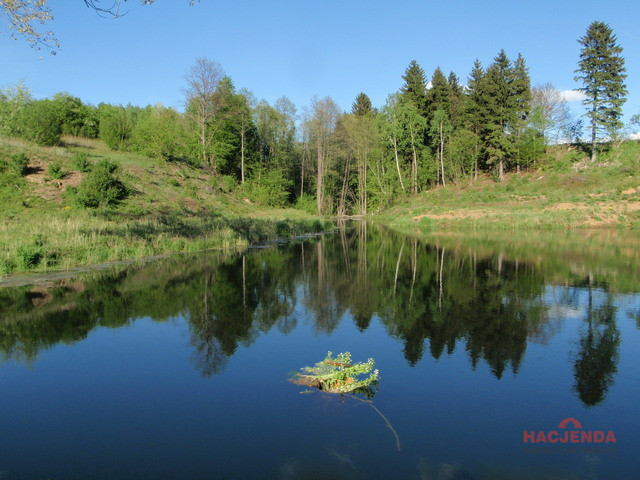 Działka Sprzedaż Bobolice 12
