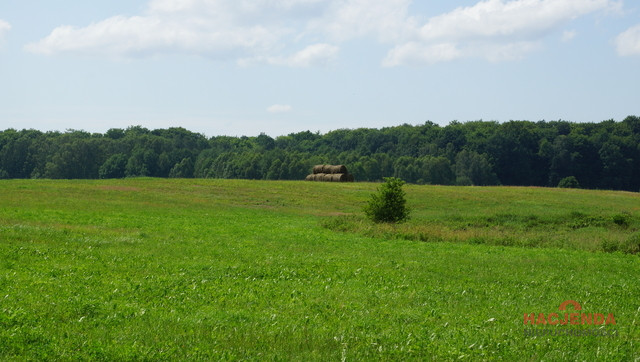 Działka Sprzedaż Bobolice 3