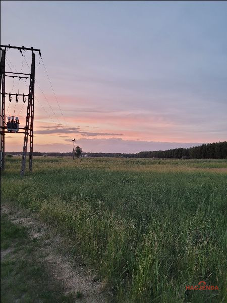 Działka Sprzedaż Lubczyna 4