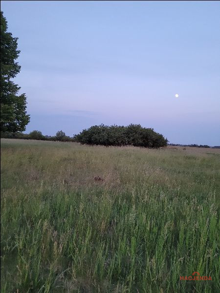Działka Sprzedaż Lubczyna 4