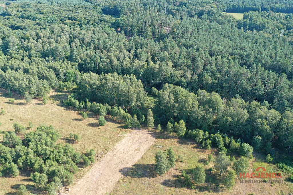 Działka Sprzedaż Krzywice 1