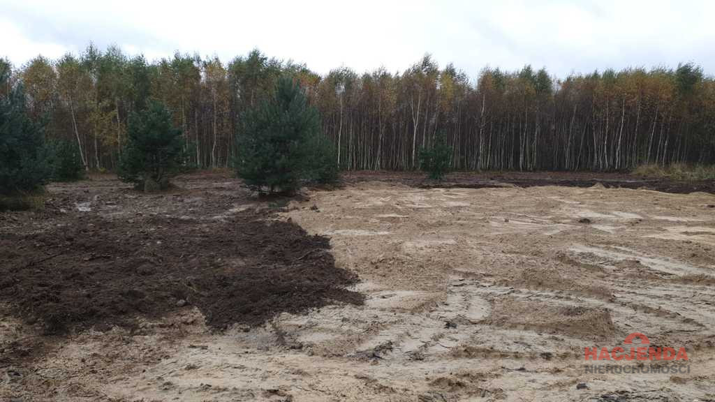 Działka Sprzedaż Borzyszewo 1