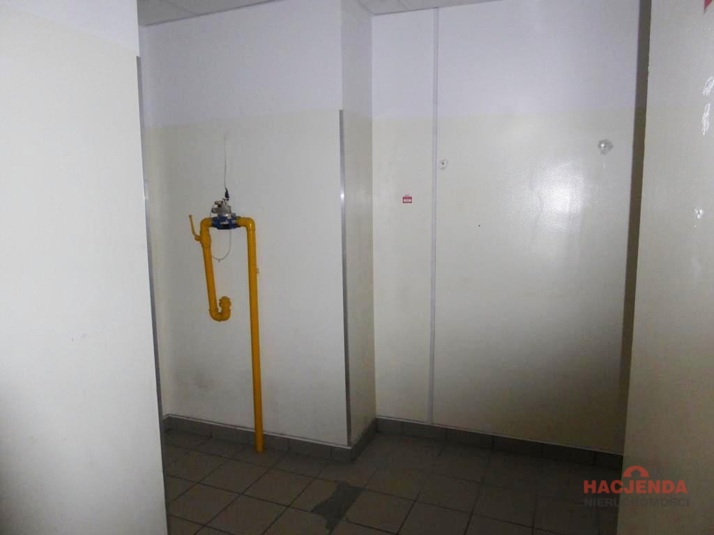 Lokal Wynajem Szczecin Centrum 7