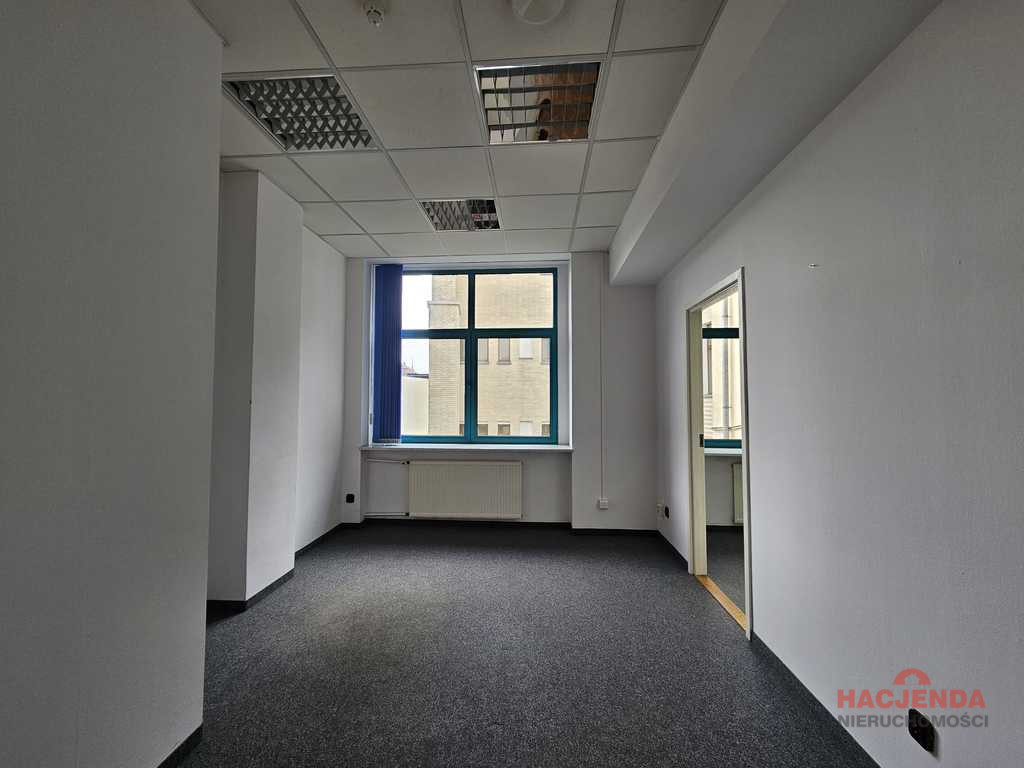 Lokal Wynajem Szczecin Centrum 11