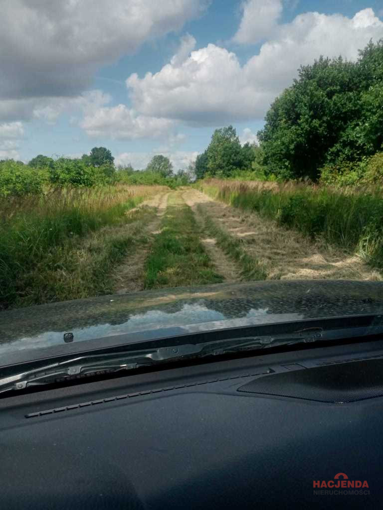Działka Sprzedaż Stara Dąbrowa 12
