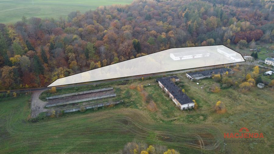 Magazyn Sprzedaż Dziwogóra 6